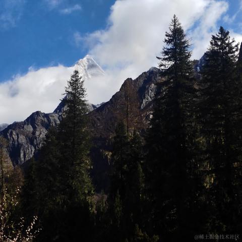 用户681288150871于2023-04-26 00:45发布的图片