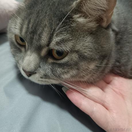 aico于2022-12-03 00:10发布的图片