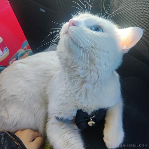 用户7210340961494于2023-01-24 21:46发布的图片