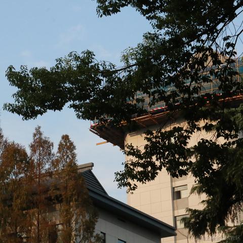 FaMiLy琳于2022-11-11 23:38发布的图片