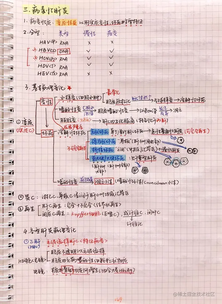 病理手写笔记.pdf