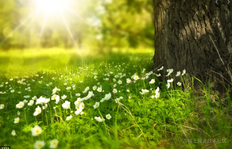 云原生-Spring Boot-简介