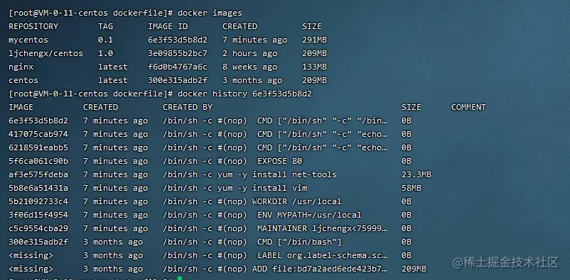 image-20210310171047551