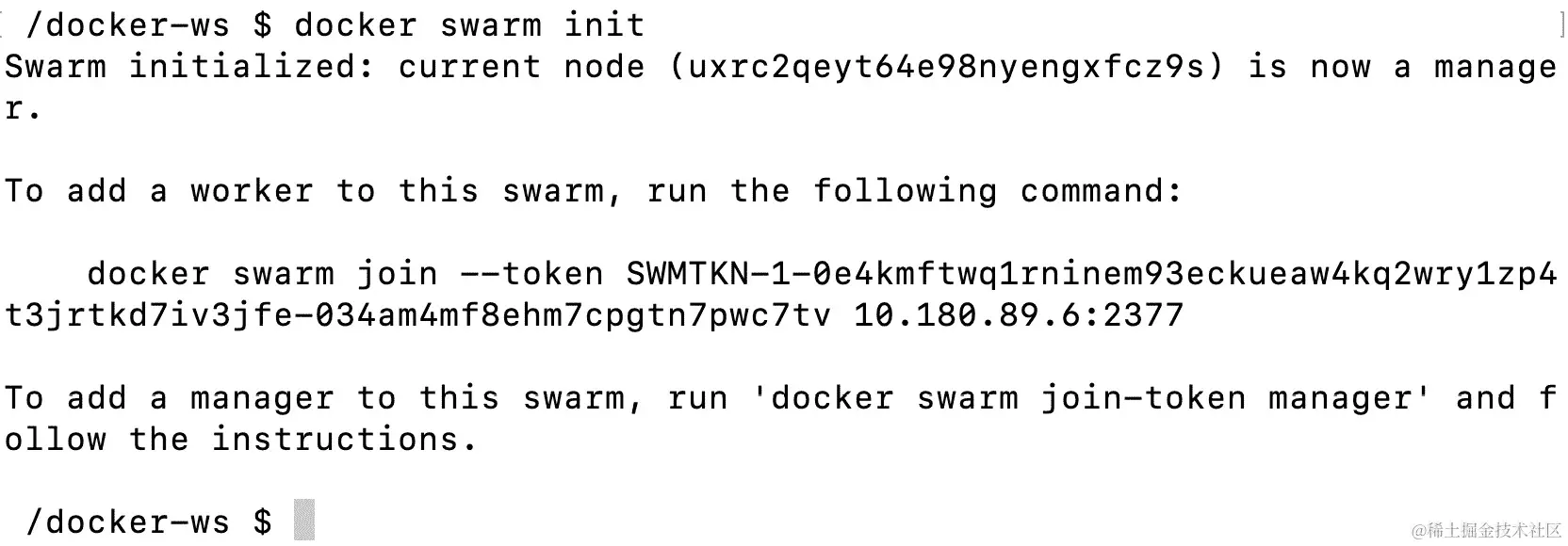 图 15.6：Swarm 初始化