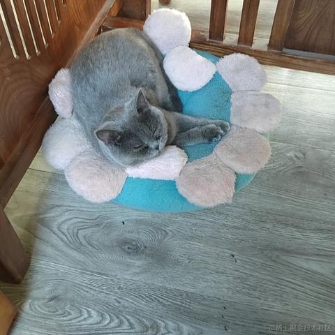 漾雾于2023-05-16 11:05发布的图片