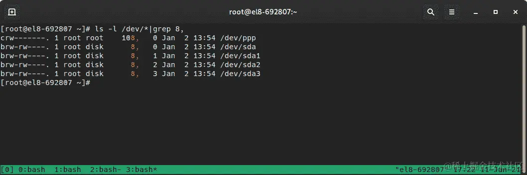 图 4.10 - 用于定位与主 8 和次 0 对应的设备的/dev/目录列表