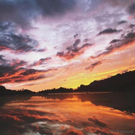 星星同學于2022-11-09 17:20发布的图片