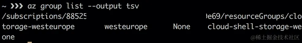 输出显示命令提示符上的订阅详细信息，由制表符分隔
