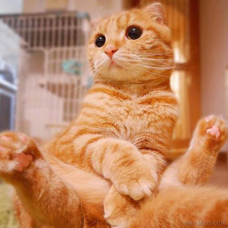 池塘的水满了于2020-12-10 17:31发布的图片