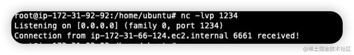 image-20220608175519224