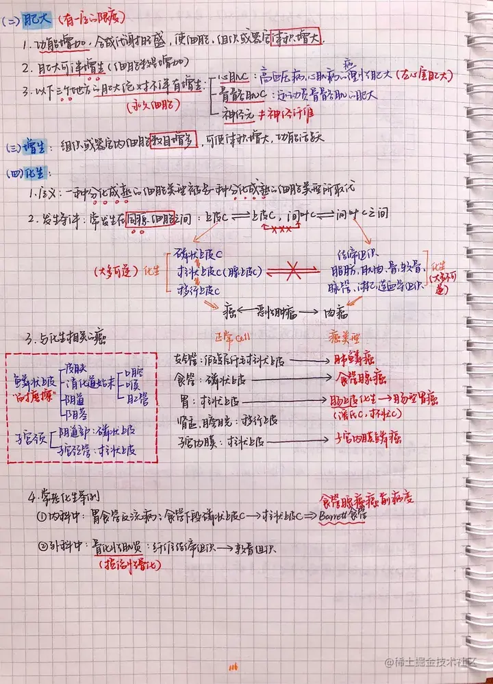 病理手写笔记.pdf