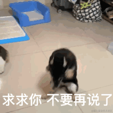 古法编程守护者于2022-07-28 13:13发布的图片