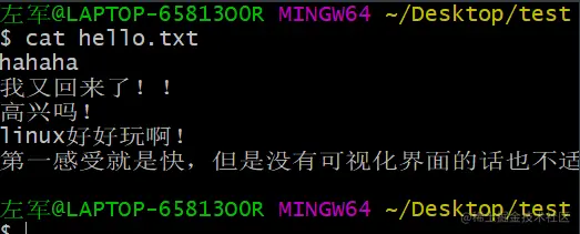 查看文件中的内容