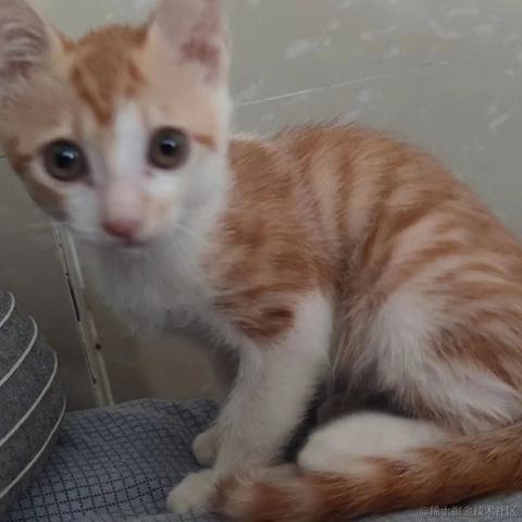 梦想是回家养猪于2023-08-18 09:47发布的图片