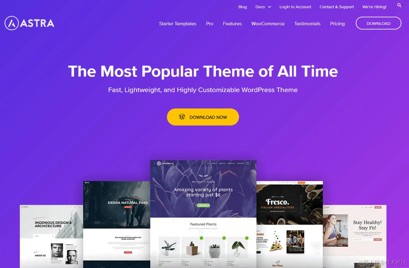 1、WordPress主题：Astra.jpg