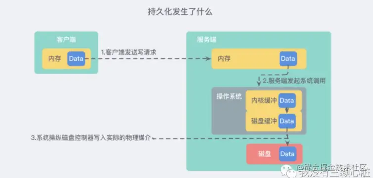 image-20210315105924518