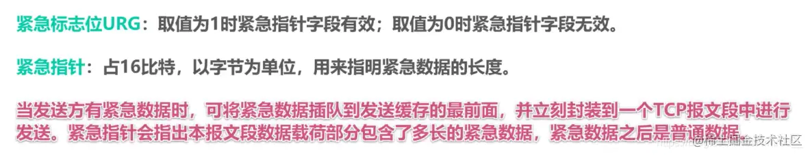 紧急标志位URG紧急指针