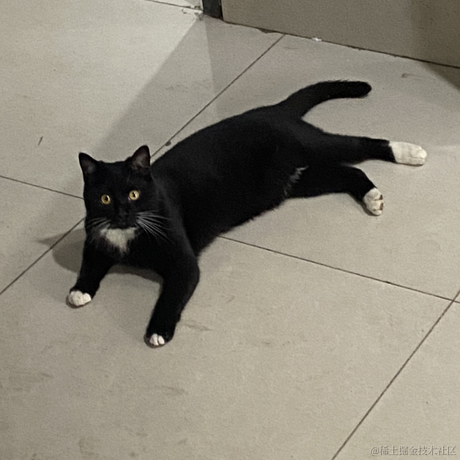jy007于2023-05-19 13:25发布的图片