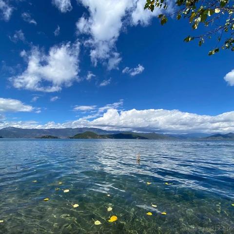 掘金小卖部于2020-10-12 10:55发布的图片