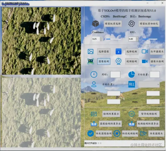 高精度绵羊检测识别系统2110.png