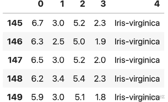 图2.5：鸢尾花数据集的最后五行
