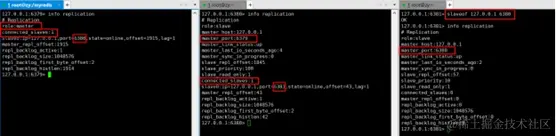 image-20211205182149079