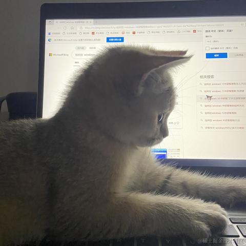 UNdefined于2022-06-14 14:58发布的图片