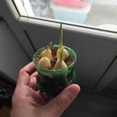 凤2018于2023-03-25 11:13发布的图片