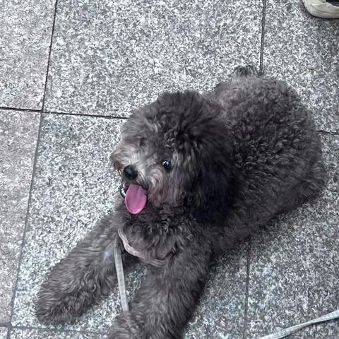 林黛玉倒拔垂杨柳于2023-08-18 09:29发布的图片