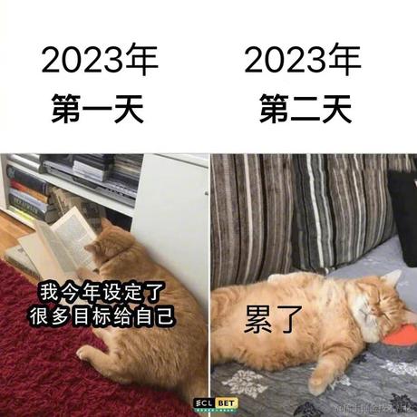 抖音开放平台于2023-01-06 17:20发布的图片