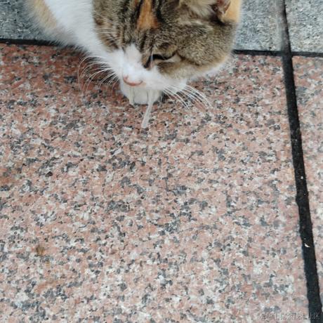 laiusztz于2022-12-01 18:10发布的图片