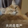 已注销于2024-06-25 09:07发布的图片