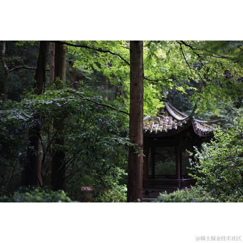 睡个好觉_于2023-07-23 18:59发布的图片