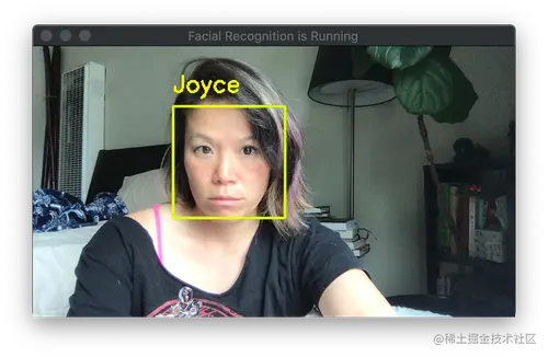Face recognition demonstration