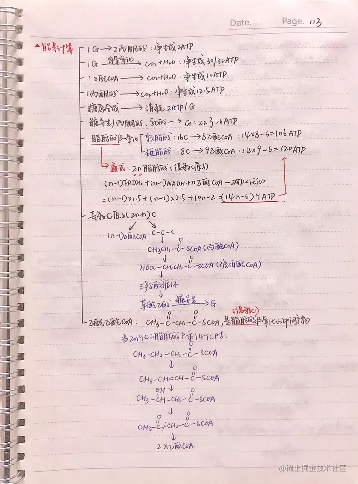 生化手写笔记.pdf