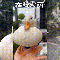 jayjay于2023-05-05 17:40发布的图片