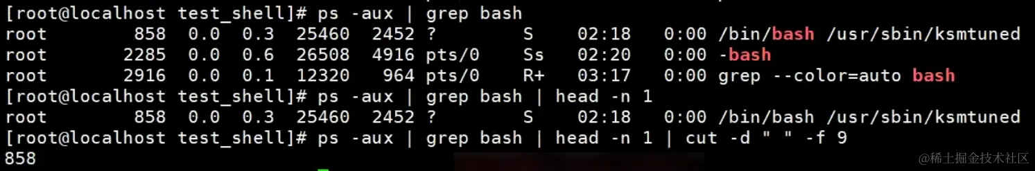 image-20240203103014436