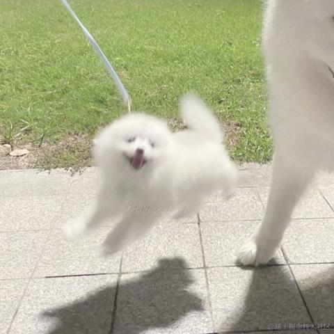 肥肥左卫门于2022-11-23 21:45发布的图片