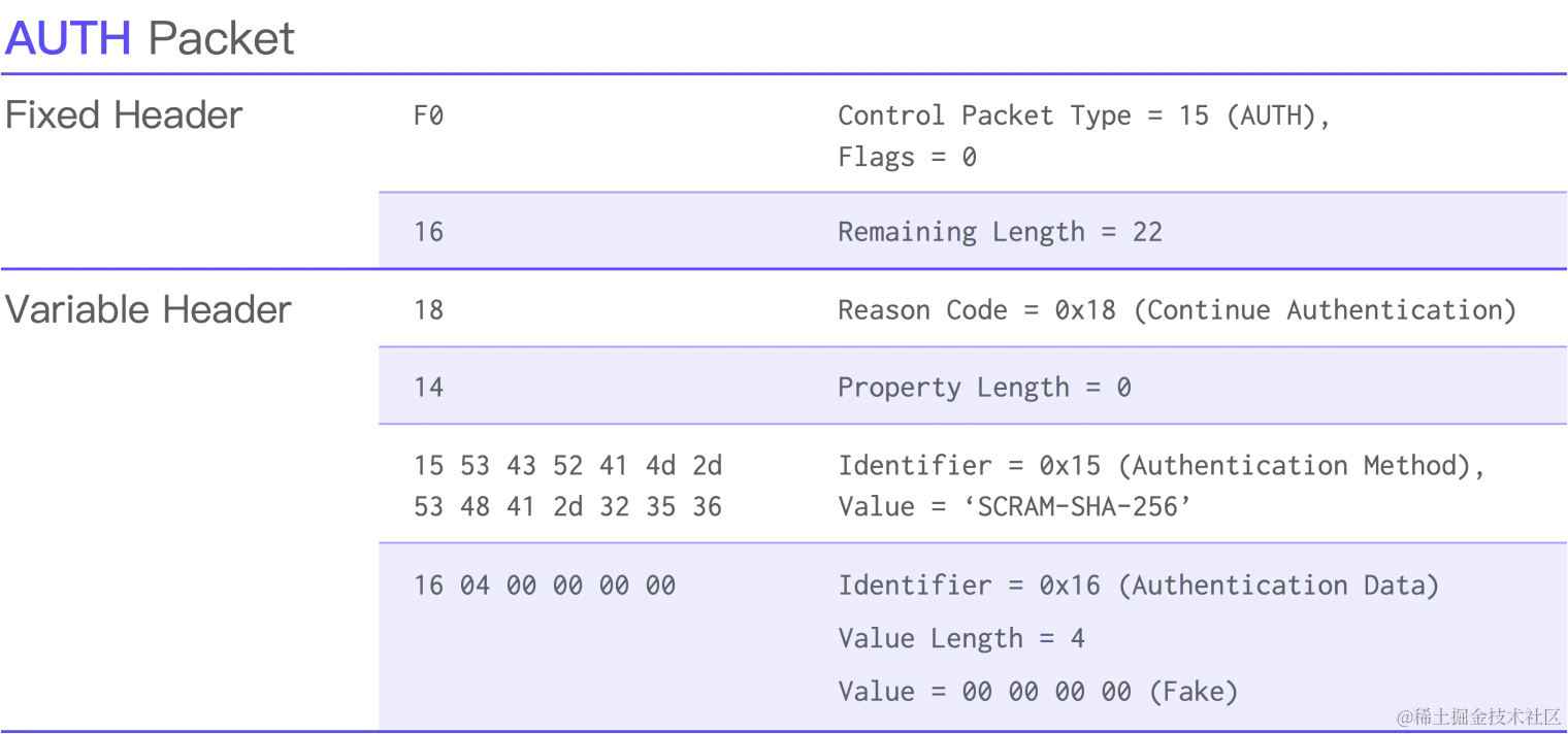 AUTH Packet.png