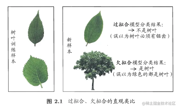 image-20211106105741101