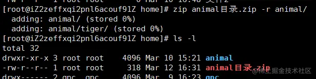 image-20220312163130574