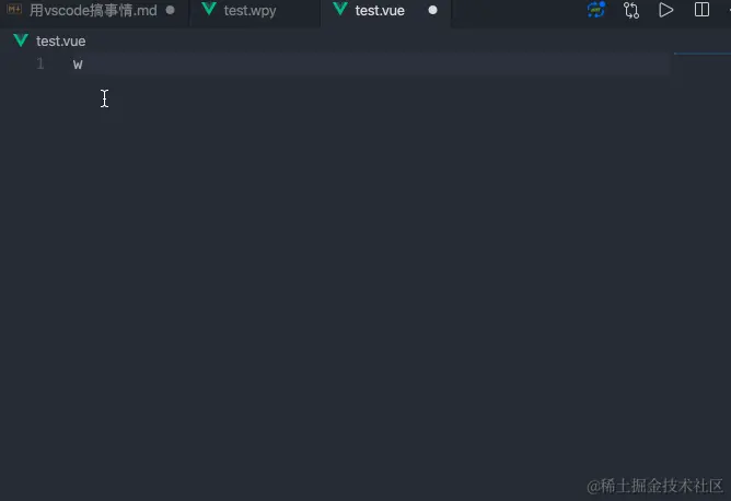 vscode 模板使用示例