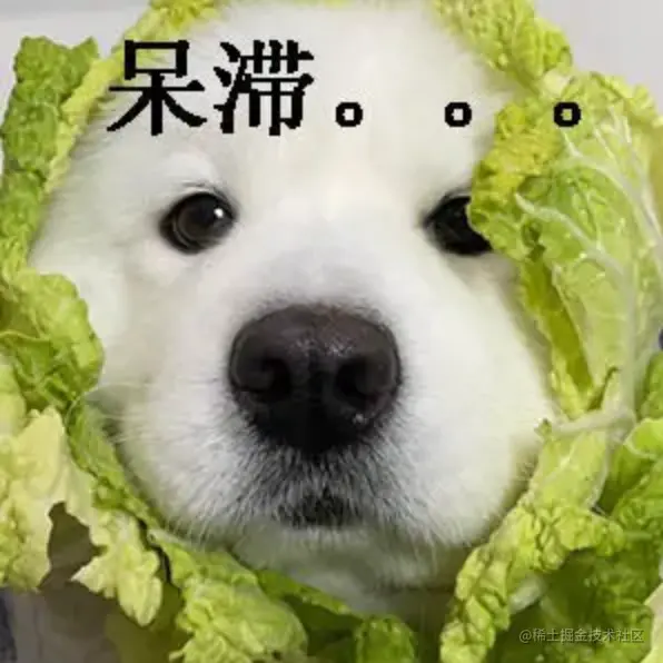 image-20220828202838938