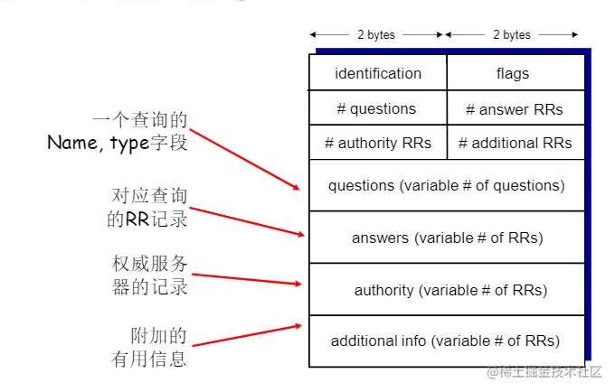 image-20210221143413446