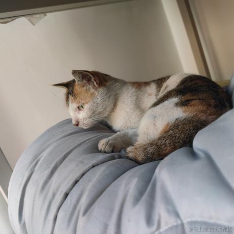 飞飞飞飞鸟于2022-11-26 16:34发布的图片