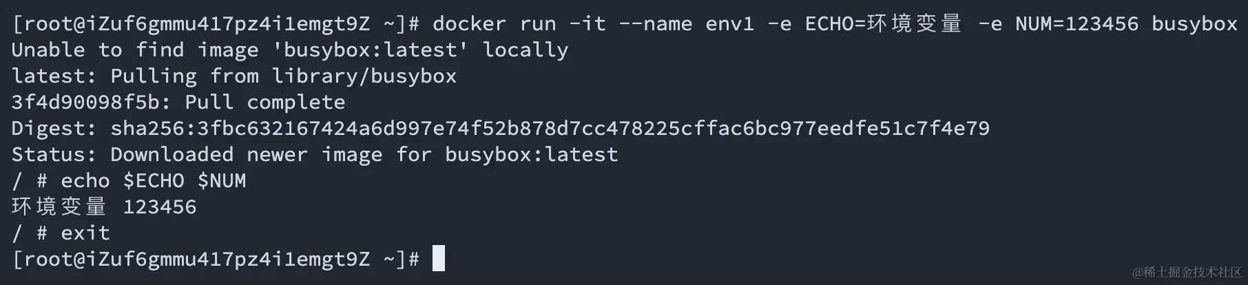 image-20230905205658055