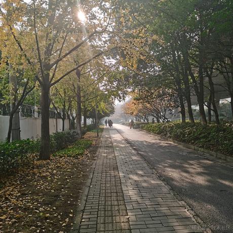 瓜瓜瓜鸟于2022-11-26 09:00发布的图片