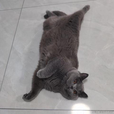 Emotion于2022-02-17 13:34发布的图片