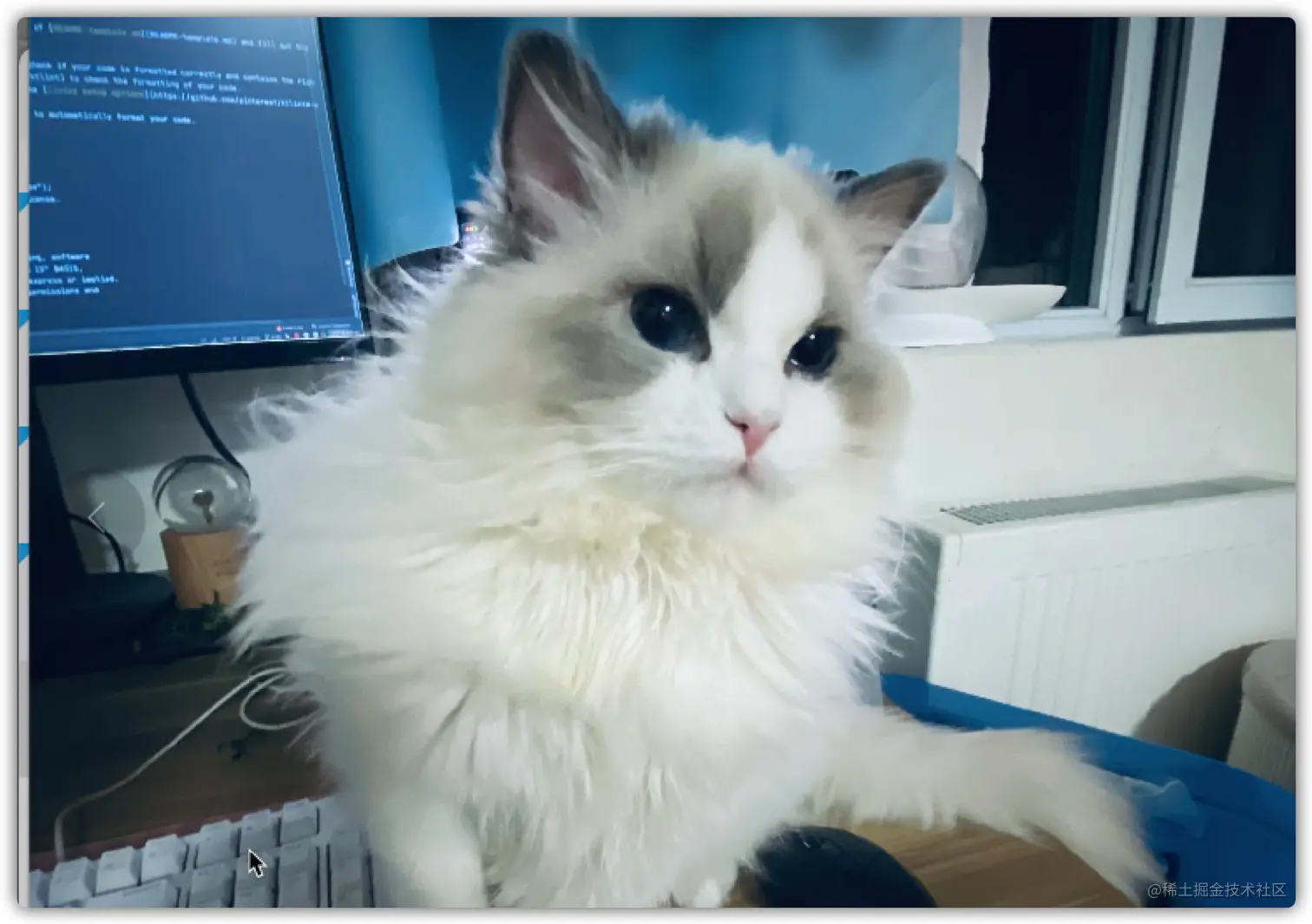 image-20210413232156906